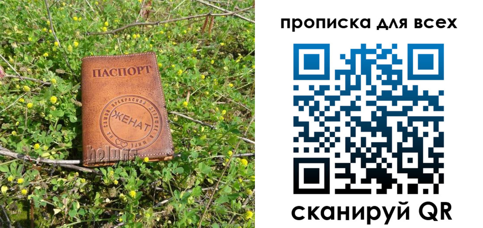 прописка поиск в Владимирской области